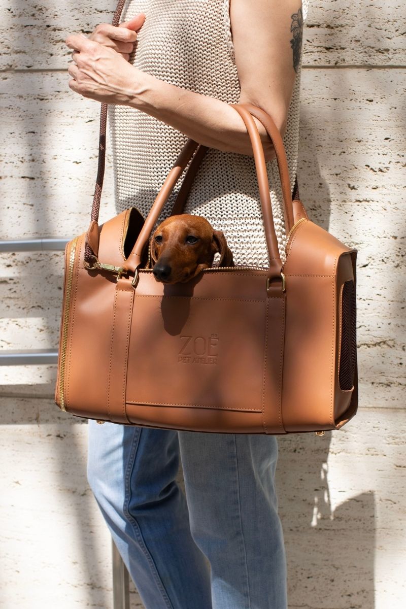 PET CARRIERS