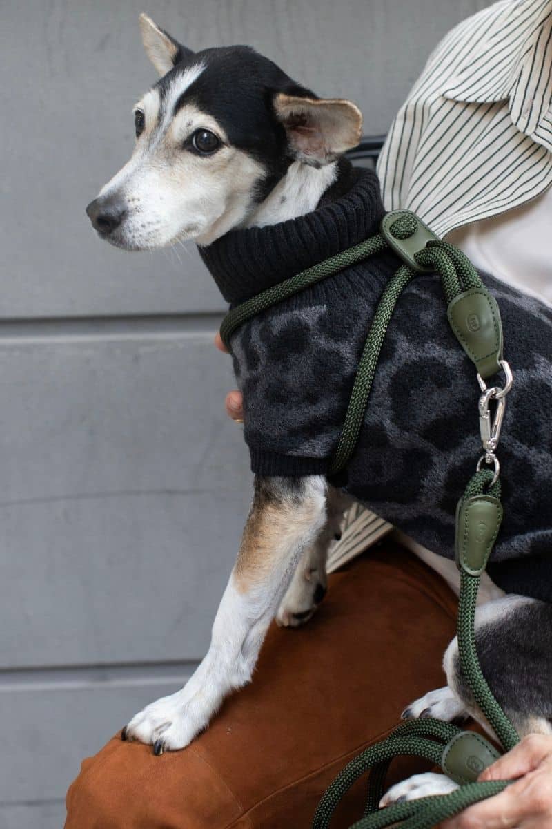 LOOP HARNESS IN ARMY GREEN