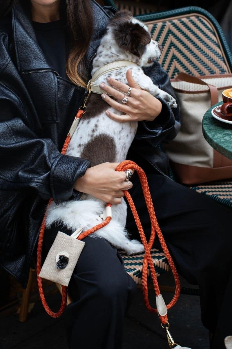 IVORY BEIGE POOP BAG HOLDER