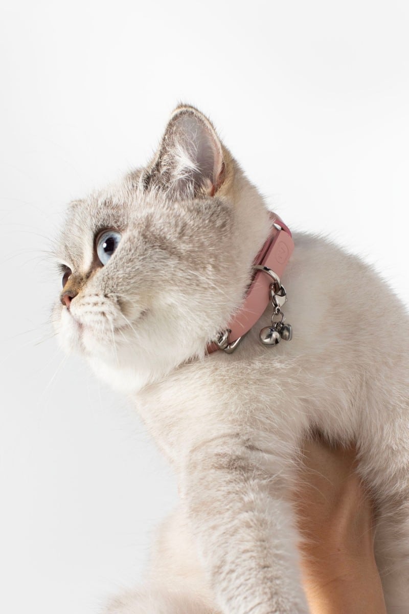 CAT COLLAR IN PINK