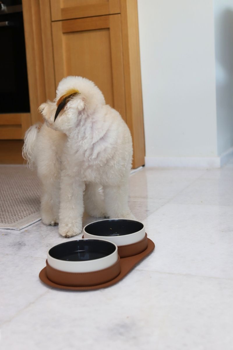 LEATHER COVERED PET BOWLS