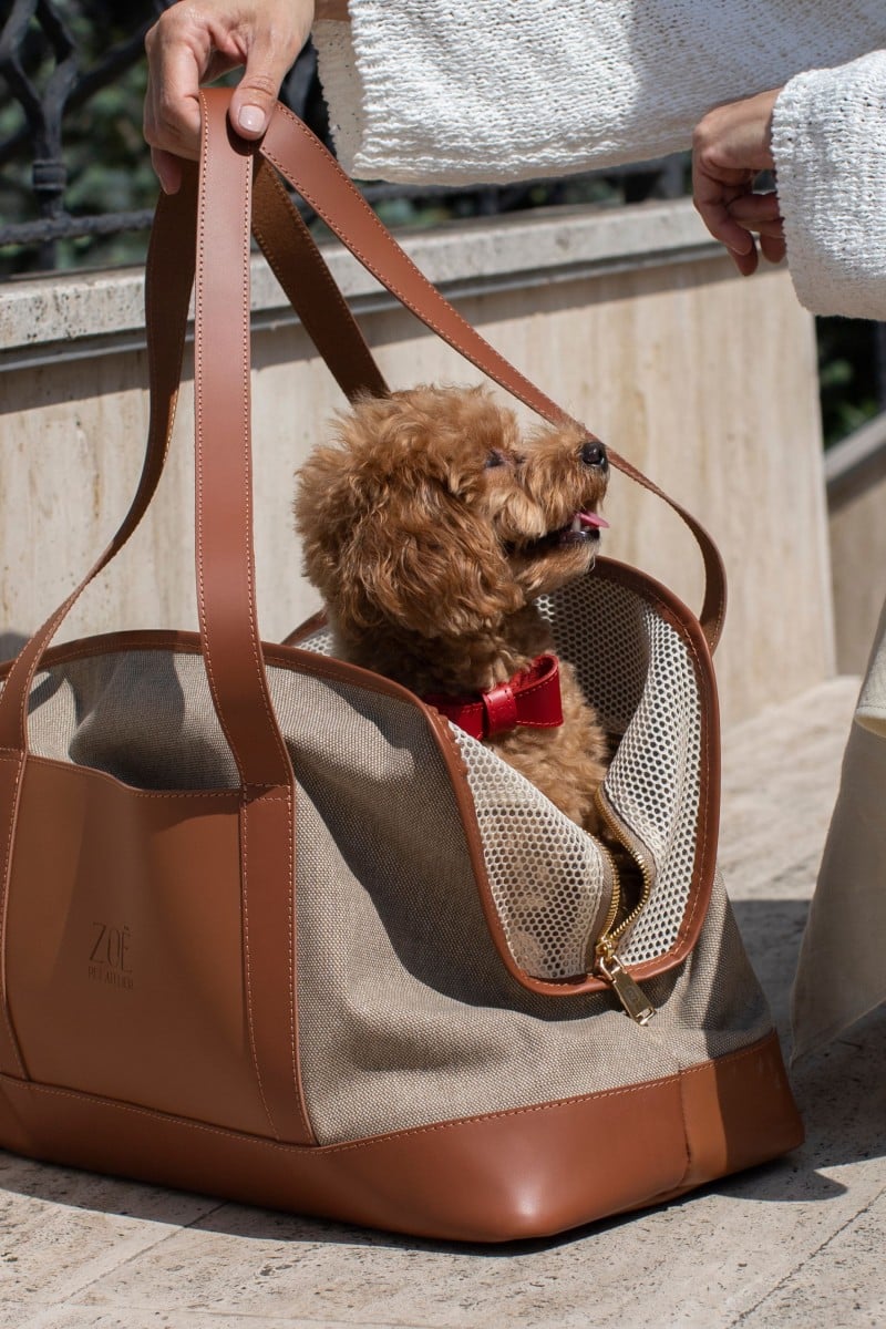 CITY CARRIER IN CARAMEL BROWN