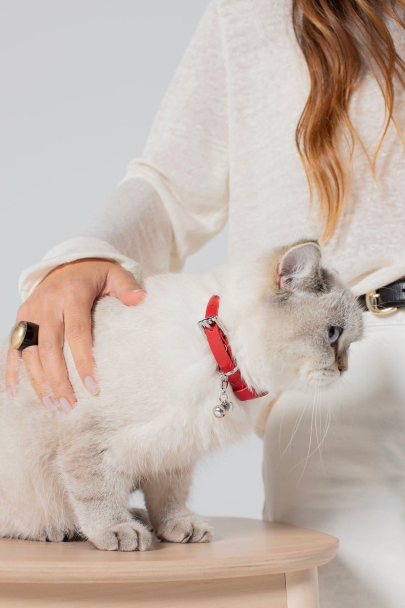 CAT COLLAR IN RED