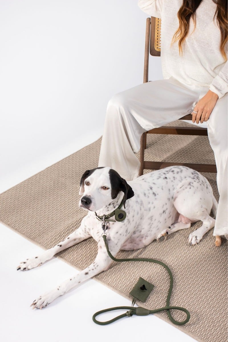 ARMY GREEN AIRTAG CASE