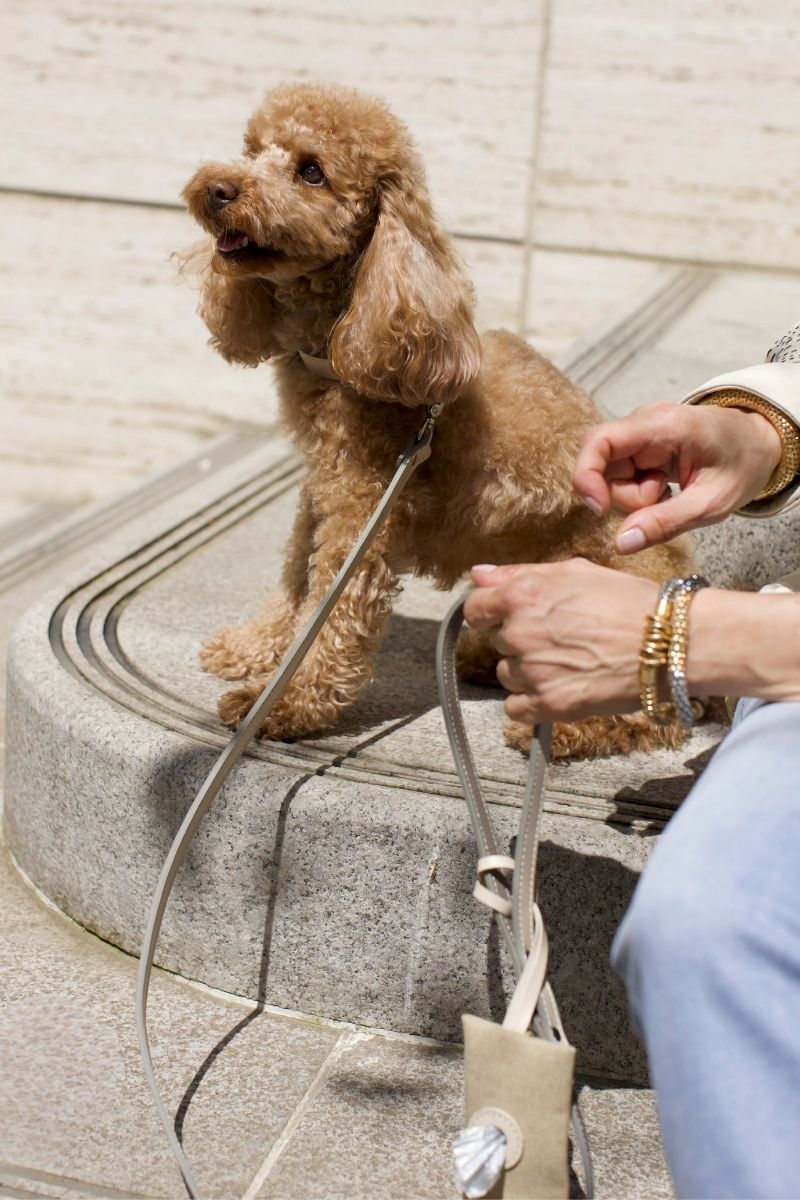 LEATHER LEASH IN BEIGE-TAUPE