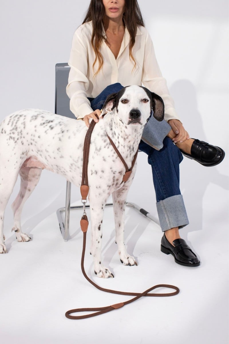 LOOP LEASH IN ESPRESSO BROWN