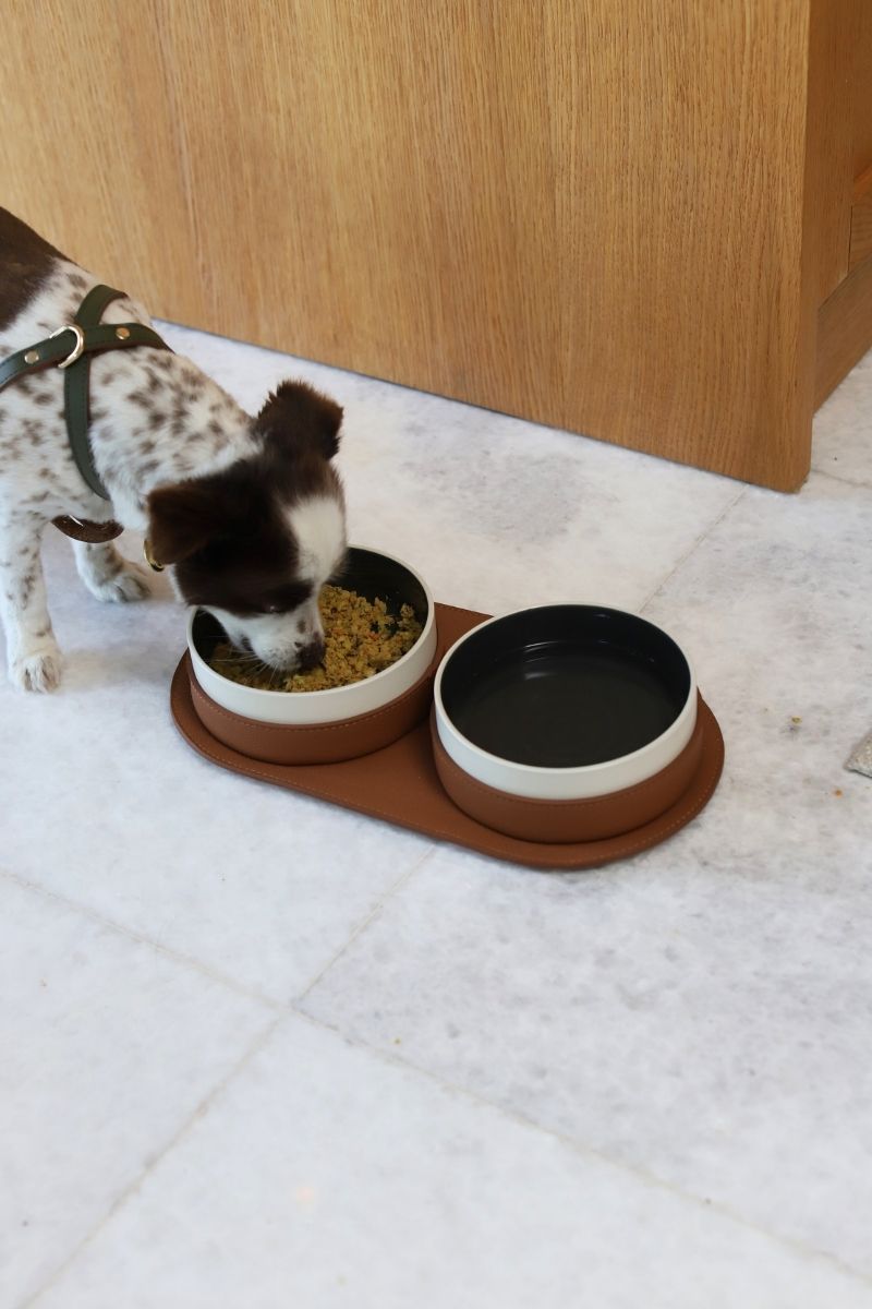 LEATHER COVERED PET BOWLS