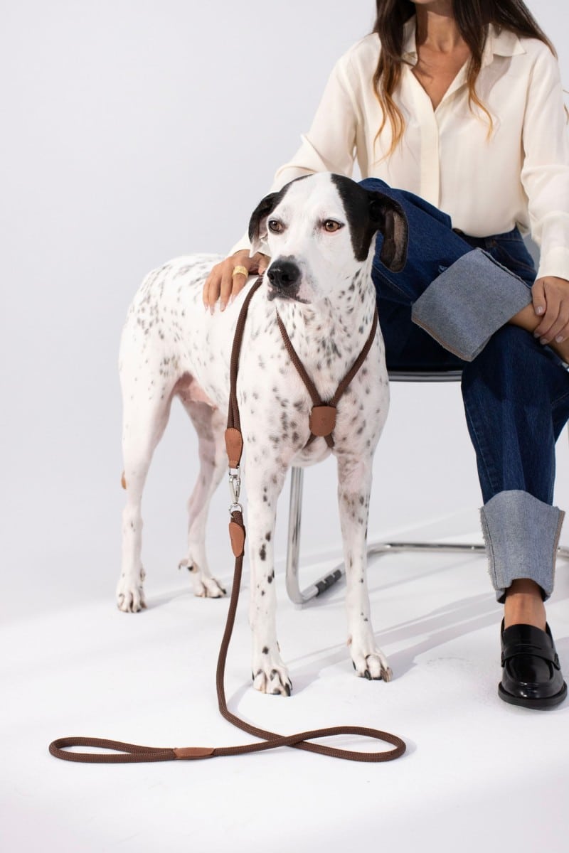 LOOP LEASH IN ESPRESSO BROWN