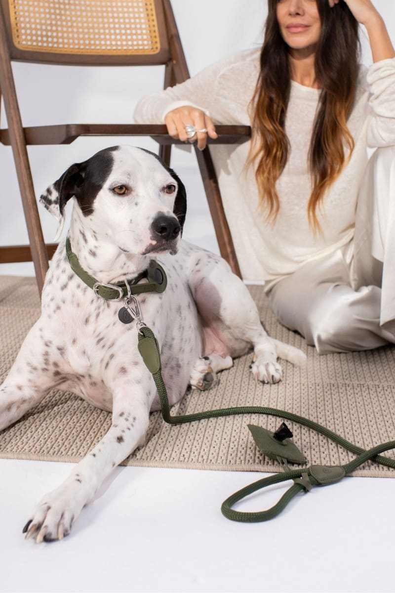 LOOP LEASH IN ARMY GREEN