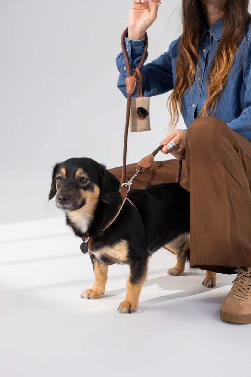 CROSS HARNESS & LOOP COLLAR SET