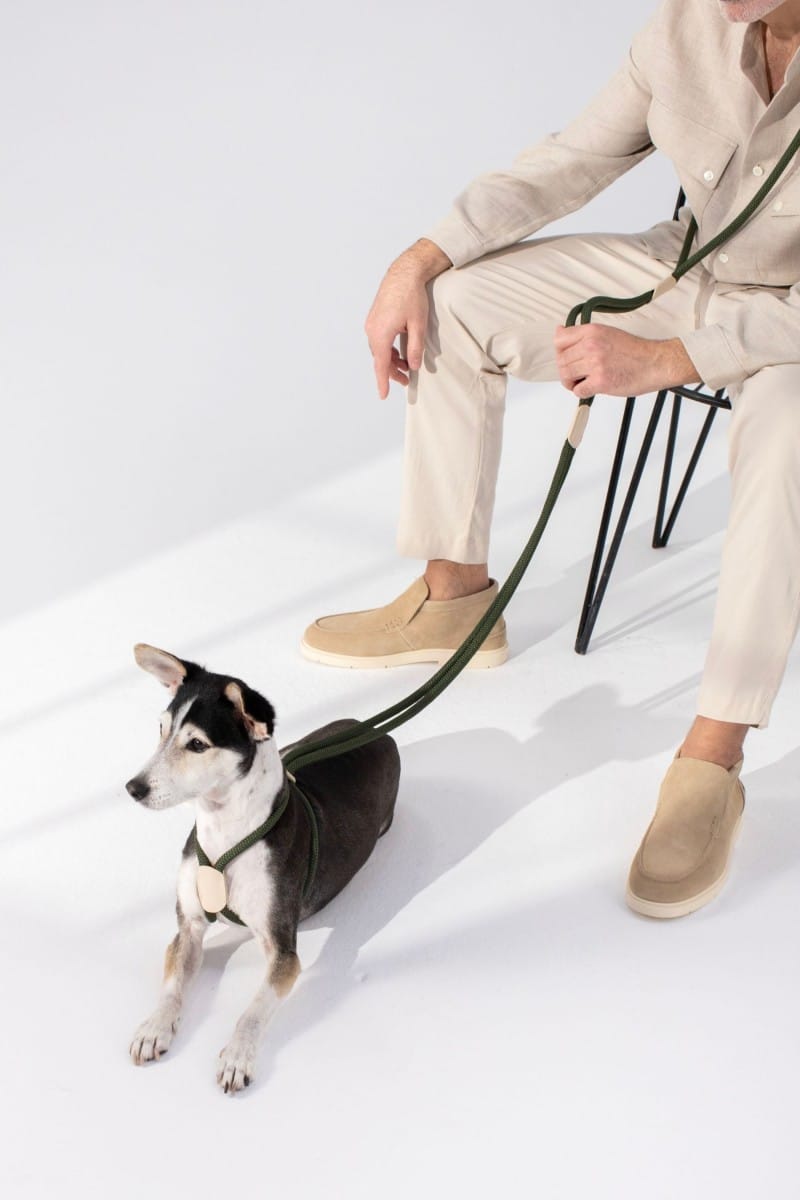 ALL IN 1 LOOP HARNESS IN ARMY GREEN