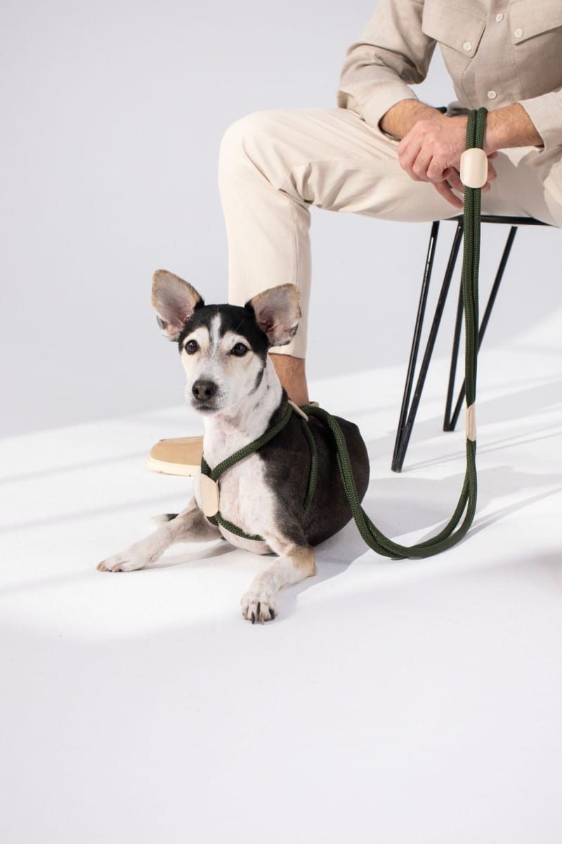 ALL IN ONE HARNESS SET