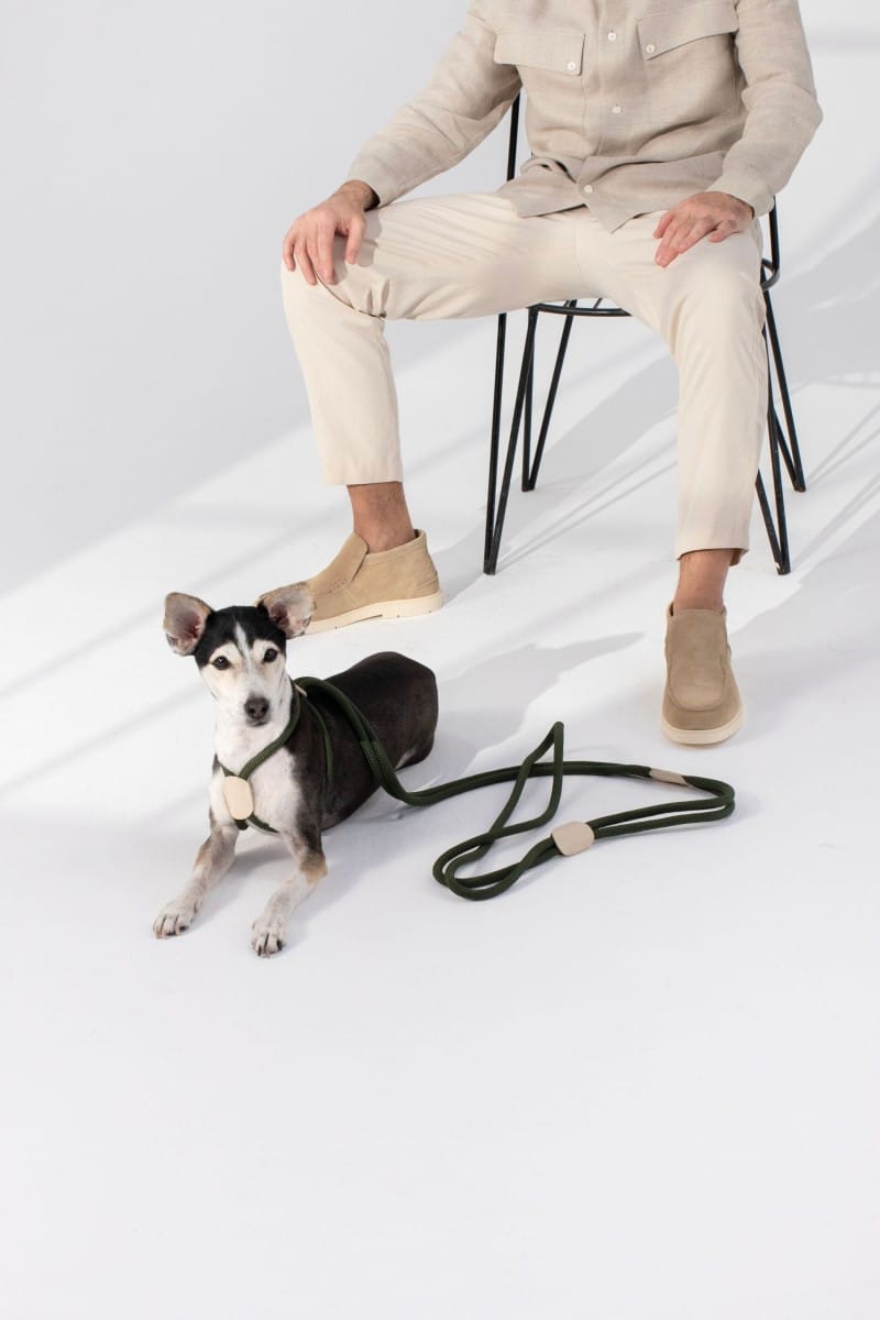 ALL IN 1 LOOP HARNESS IN ARMY GREEN