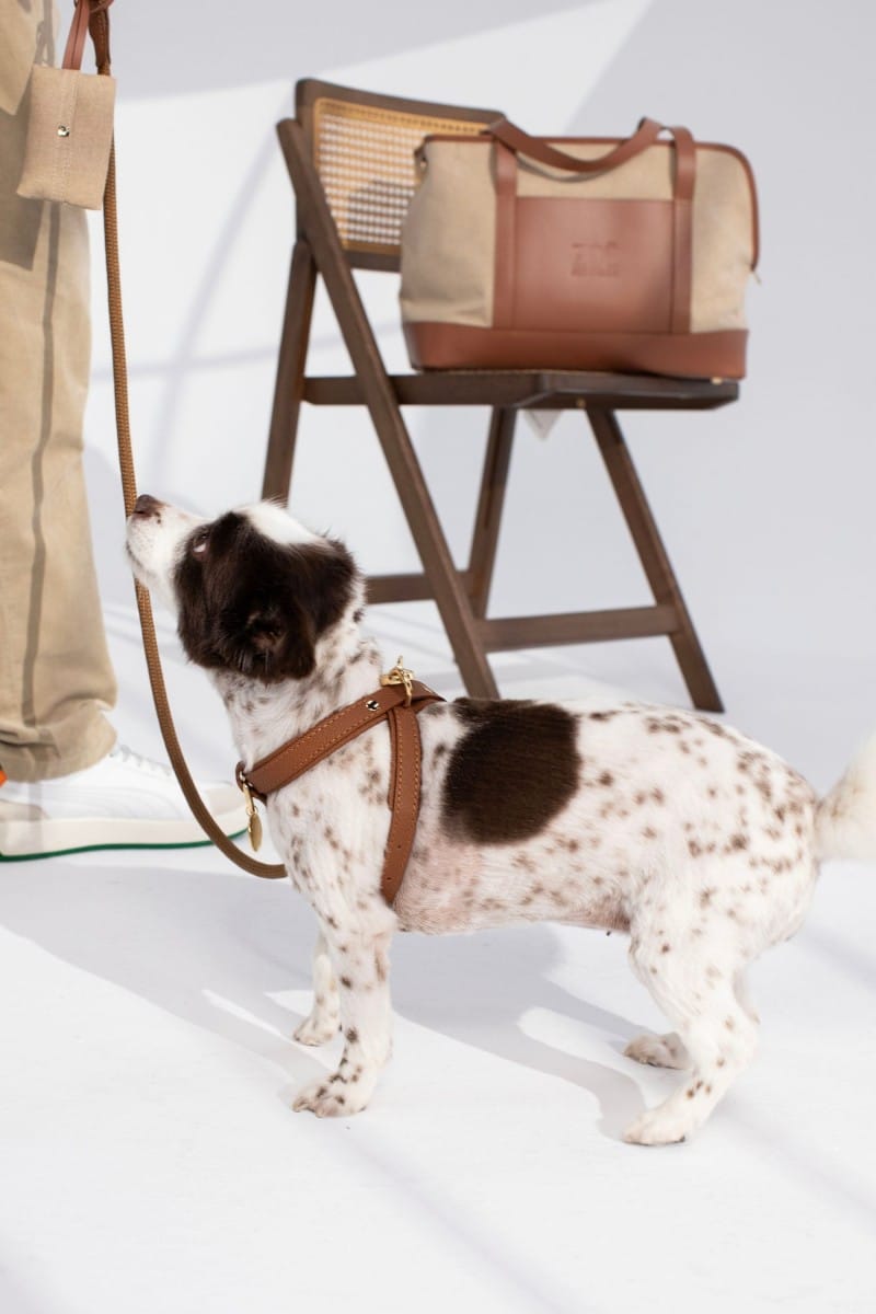 CROSS HARNESS IN CARAMEL BROWN