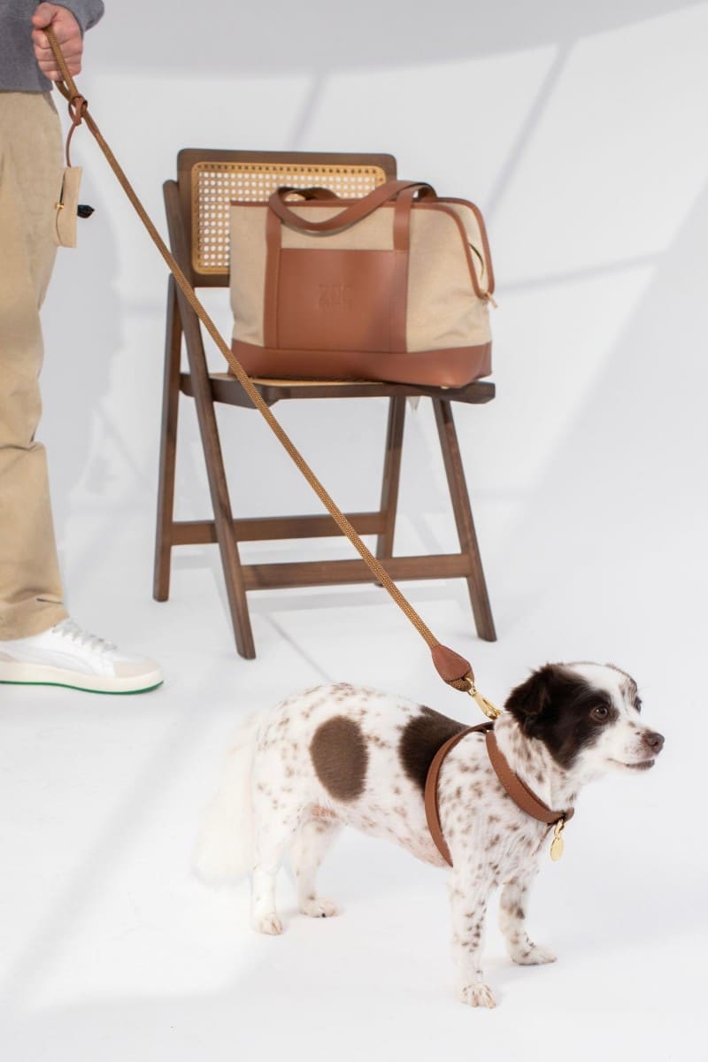 CITY CARRIER IN CARAMEL BROWN