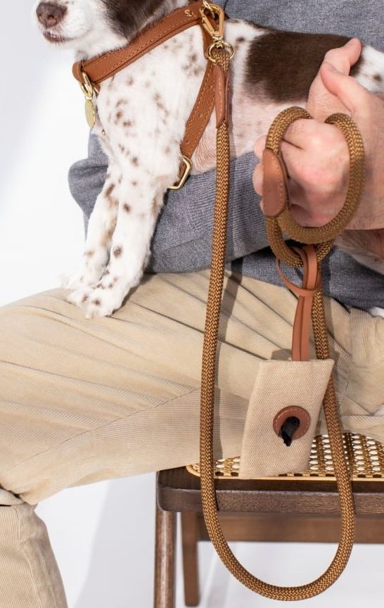 CROSS HARNESS IN CARAMEL BROWN