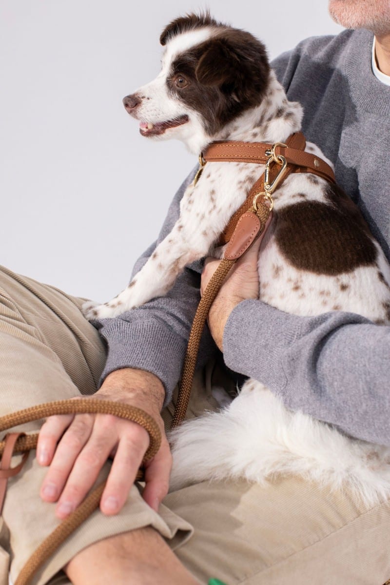 CROSS HARNESS IN CARAMEL BROWN