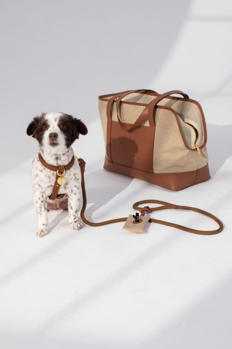 CITY CARRIER IN CARAMEL BROWN