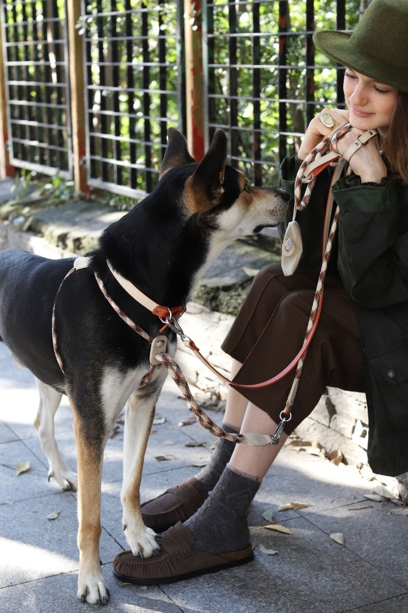 LOOP LEASH BEIGE MIX | SILVER