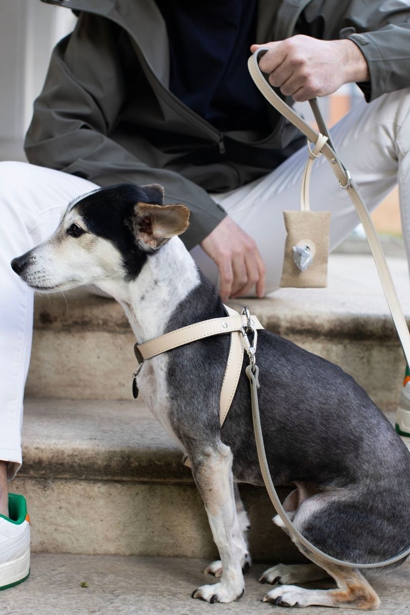 IVORY BEIGE POOP BAG HOLDER