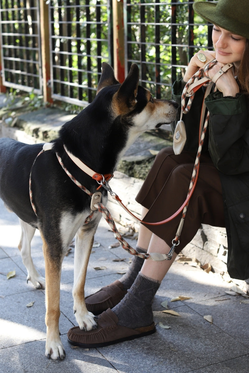 LEATHER COLLAR IN BEIGE-ORANGE | SILVER
