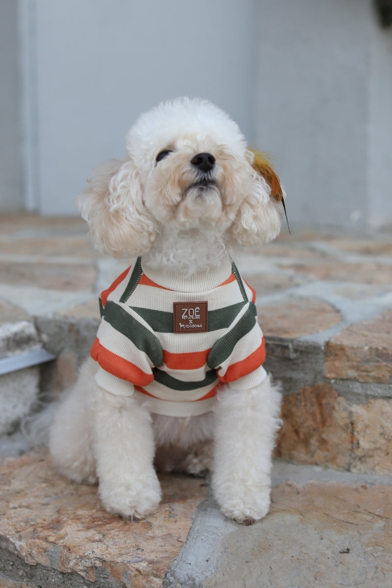 Zoë Pet Atelier × Lolidogs | Basic Stripe Army