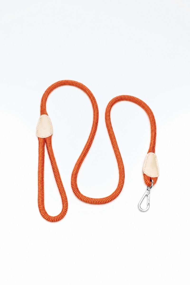 LOOP LEASH IN RUSTY ORANGE | GOLD / SILVER