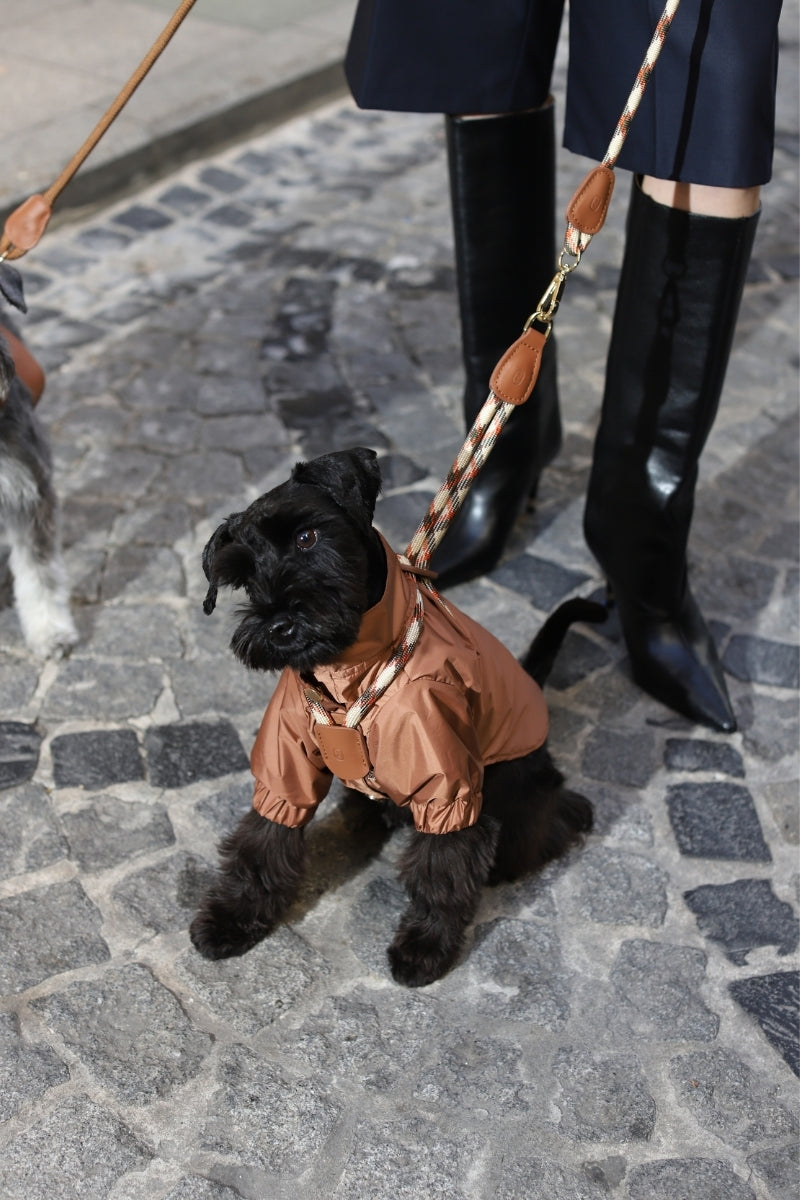 Zoë Pet Atelier × Lolidogs | Raincoat Caramel