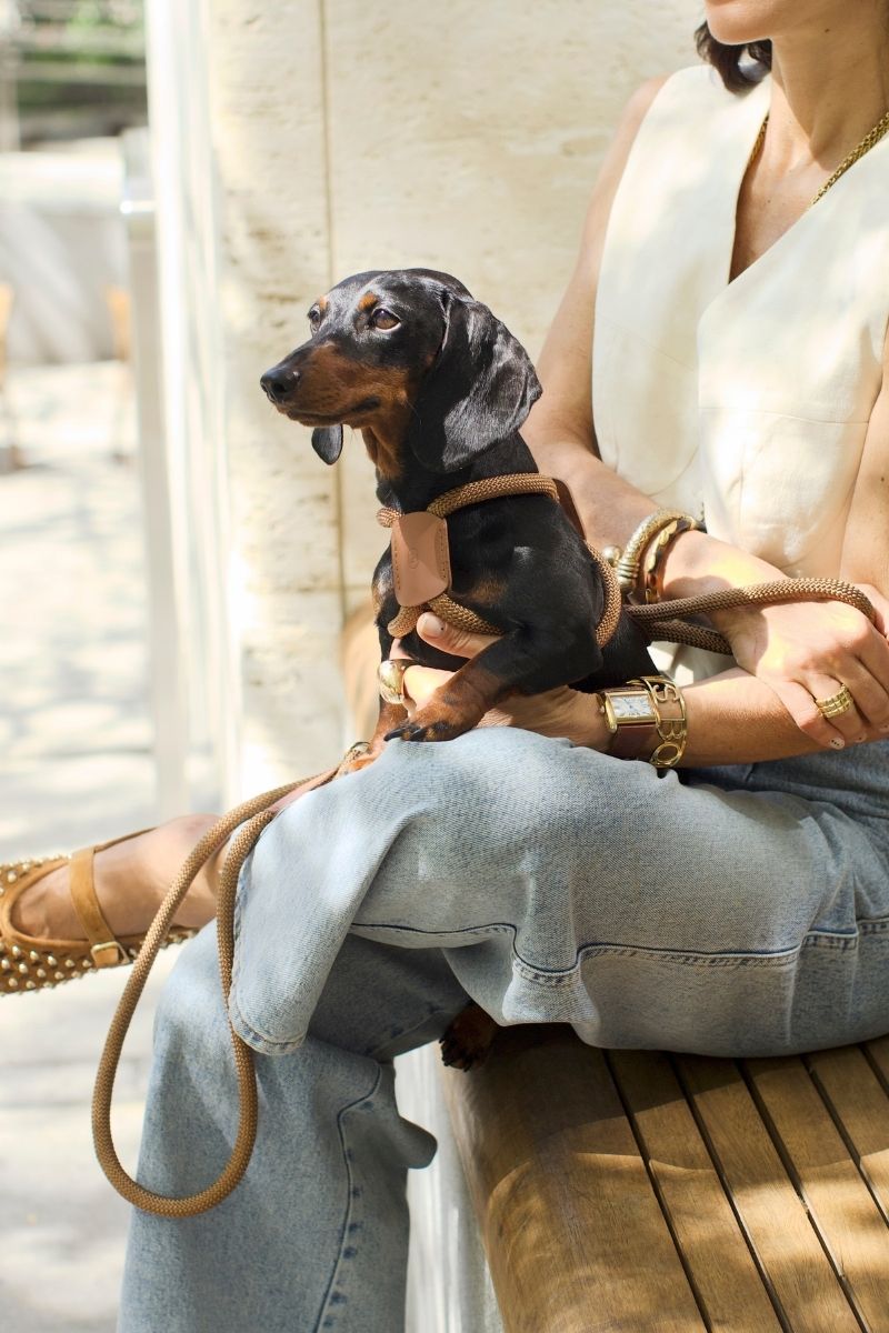 LOOP LEASH IN CARAMEL BROWN