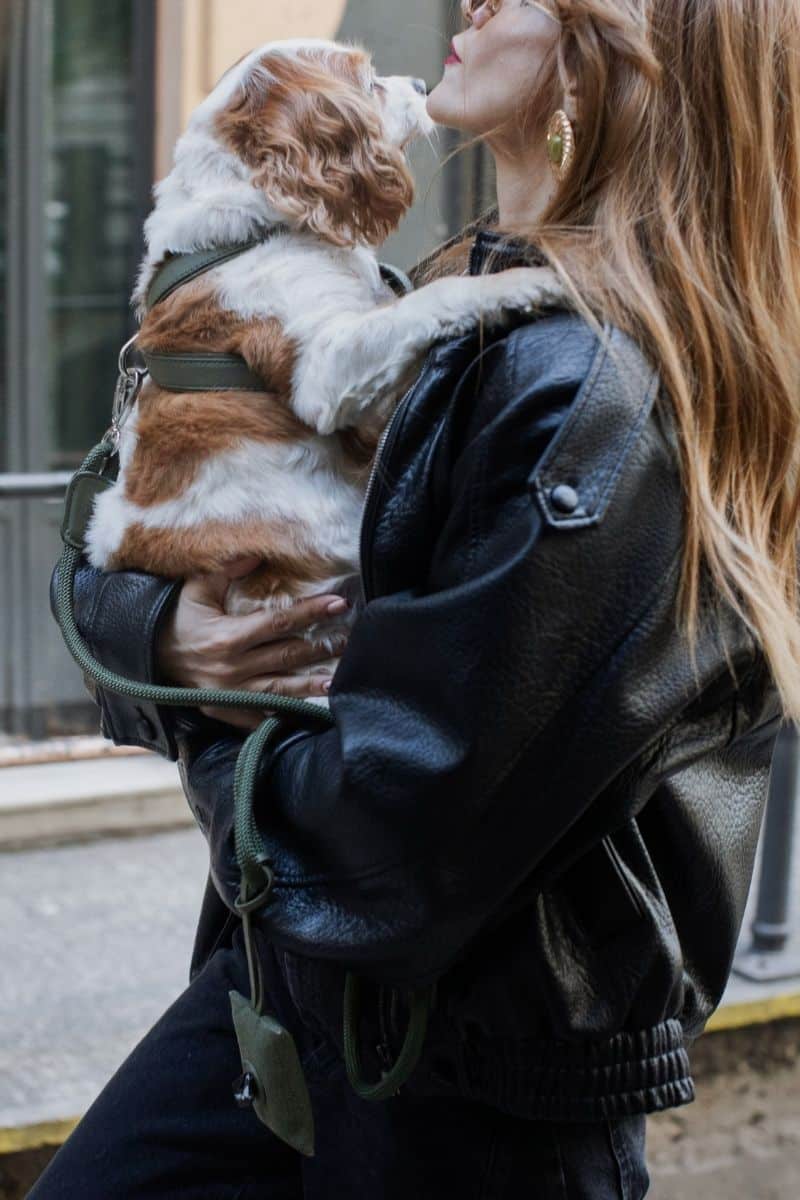 CROSS HARNESS IN ARMY GREEN