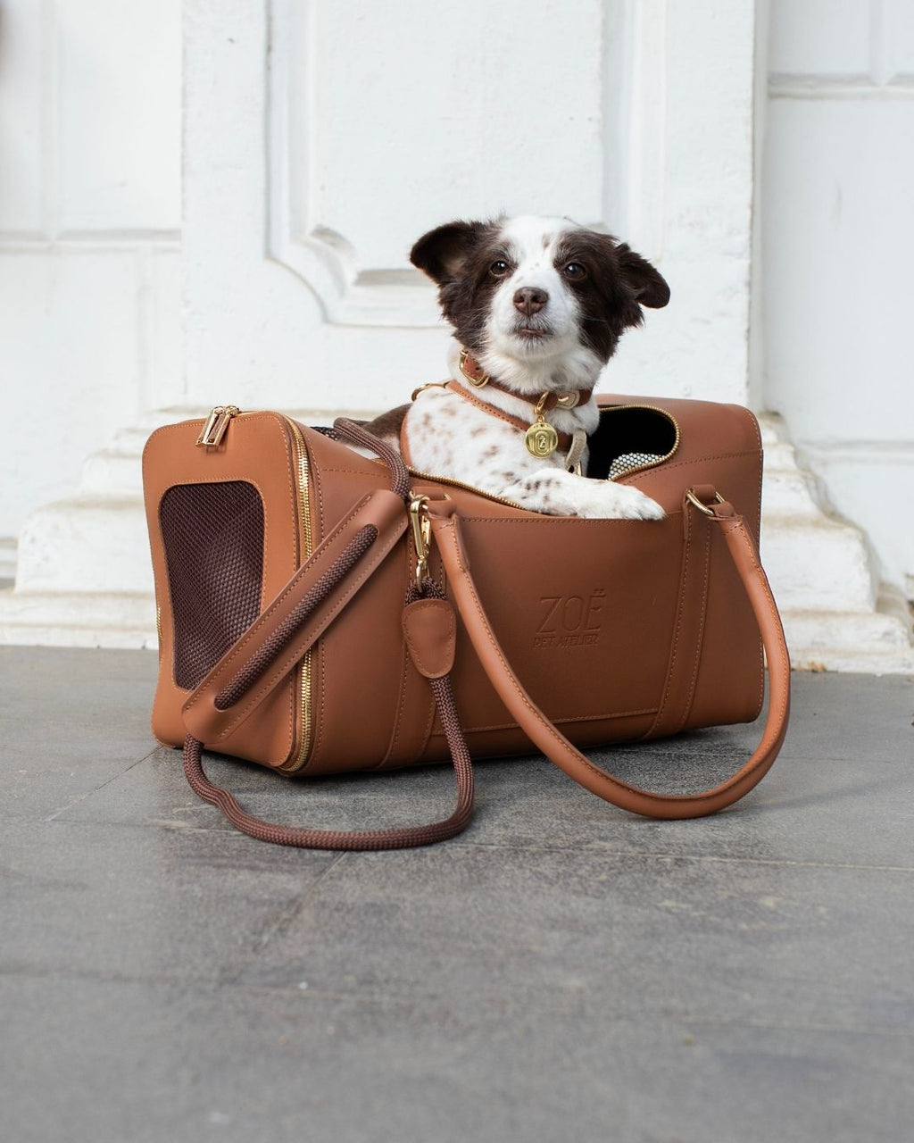 AIR CARRIER IN CARAMEL BROWN