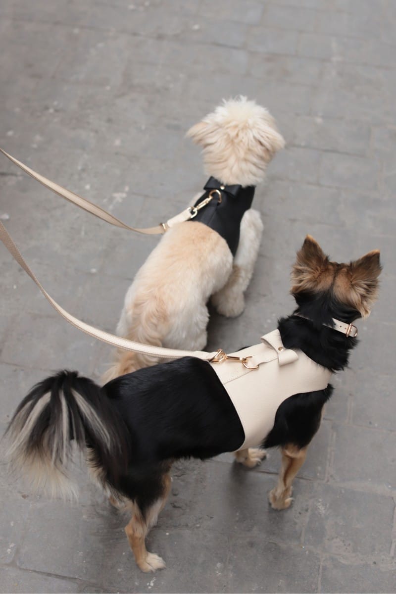VEST HARNESS IN IVORY BEIGE