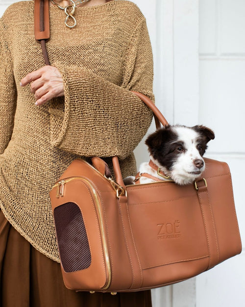AIR CARRIER IN CARAMEL BROWN