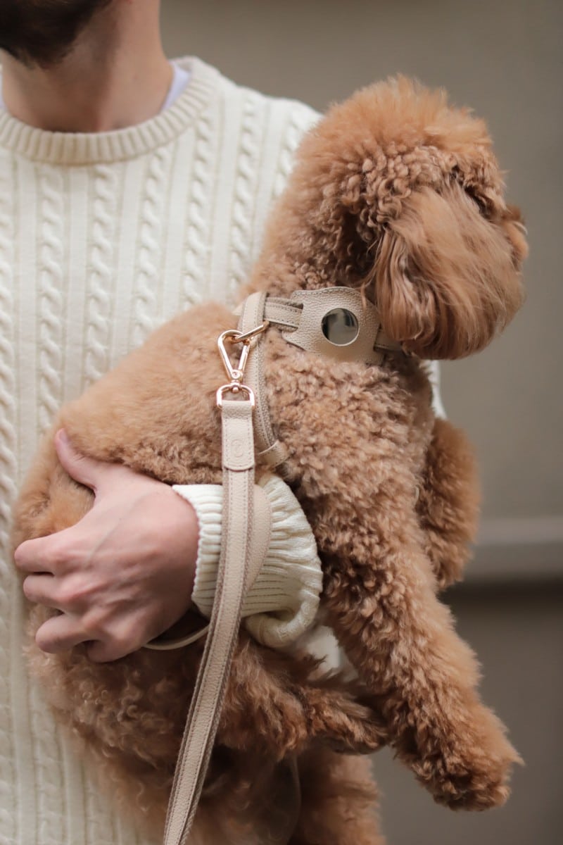 CROSS HARNESS IN BEIGE