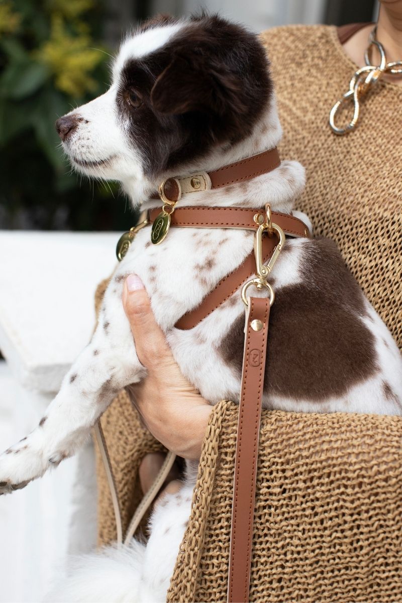 CROSS HARNESS IN CARAMEL-BEIGE