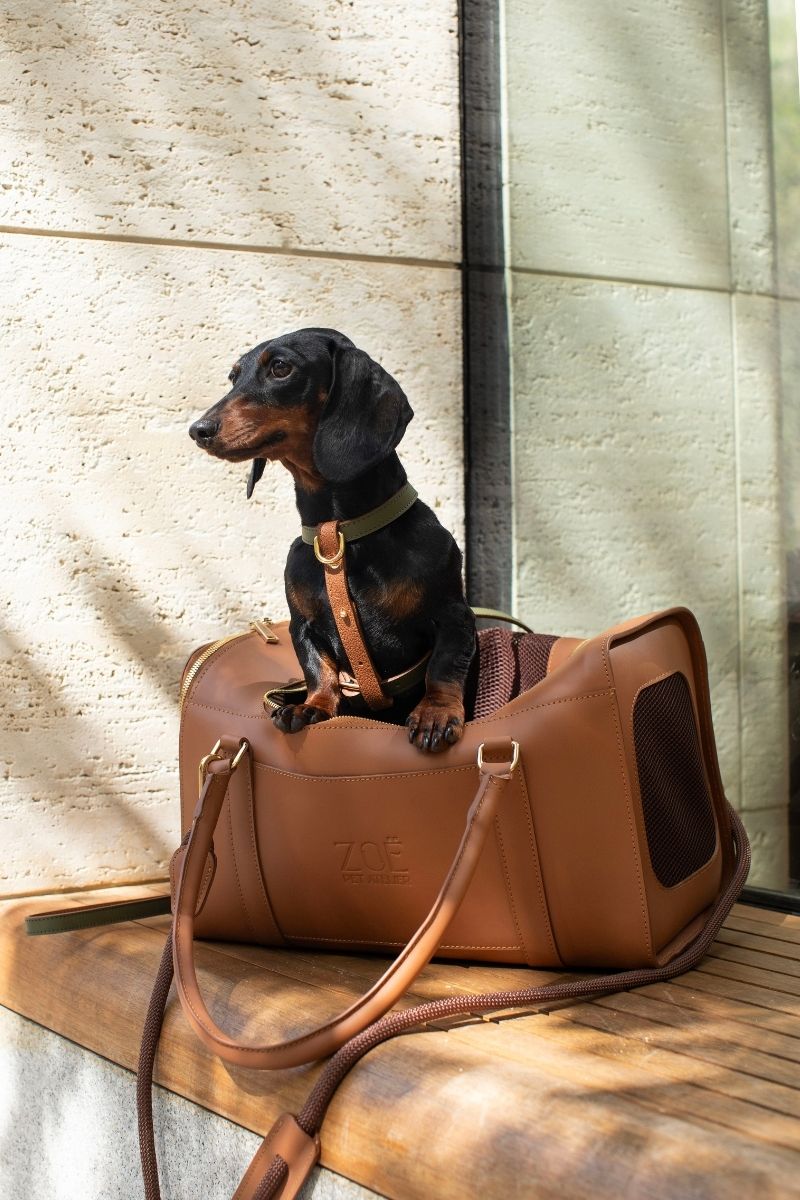 AIR CARRIER IN CARAMEL BROWN