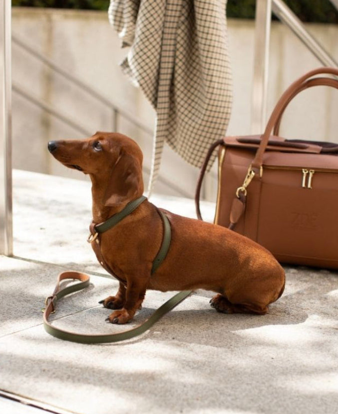 AIR CARRIER IN CARAMEL BROWN