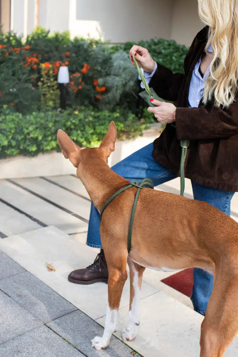 ALL IN ONE HARNESS SET