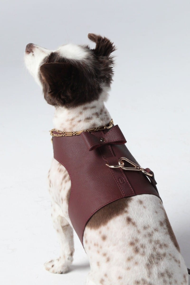 VEST HARNESS IN VINTAGE BURGUNDY