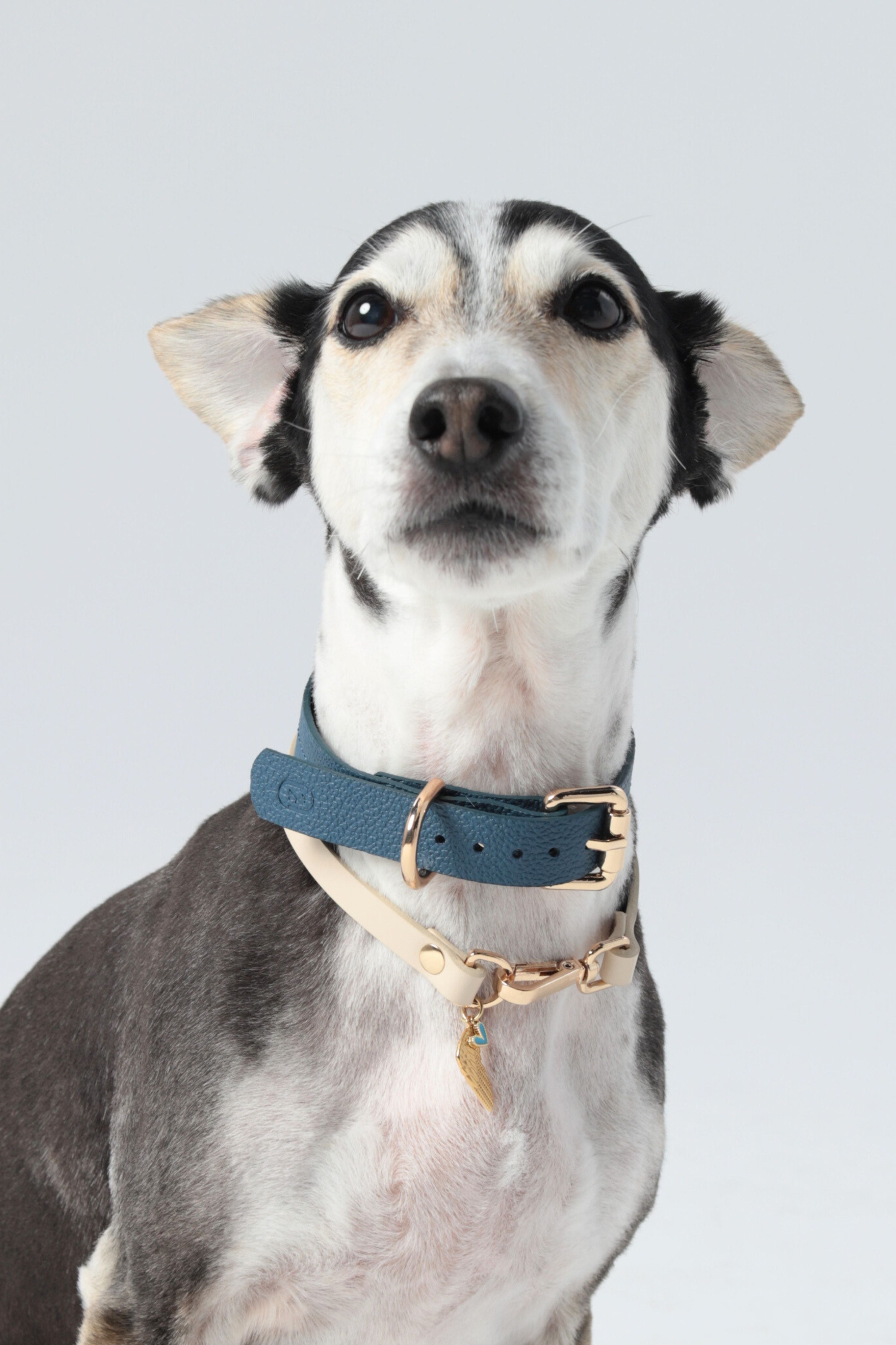 CHARM COLLAR IN BEIGE