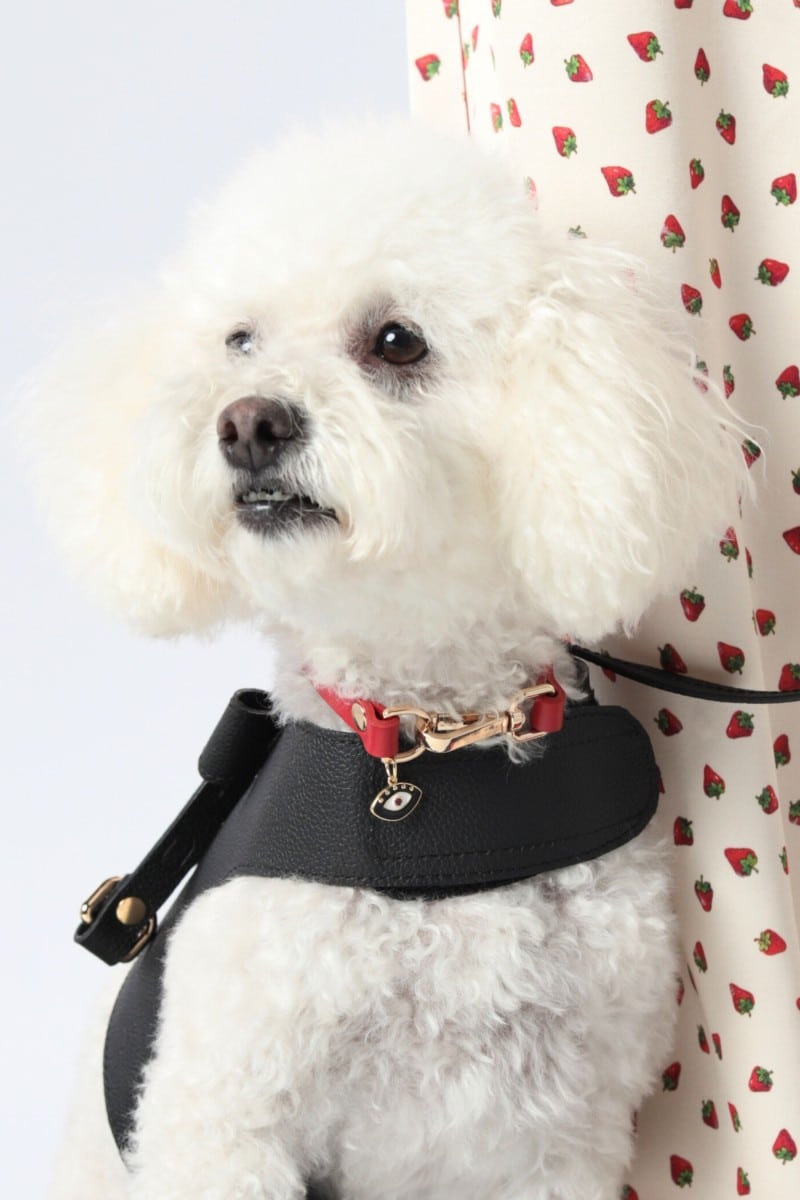 LEATHER CHARM COLLAR IN RED