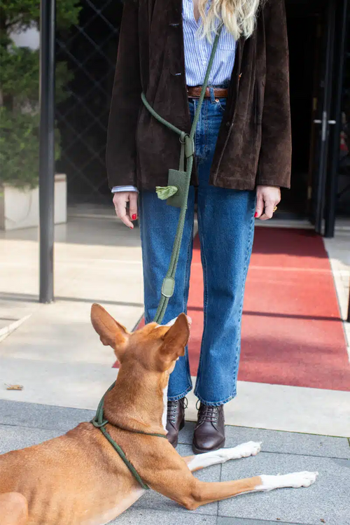 ALL IN ONE HARNESS SET