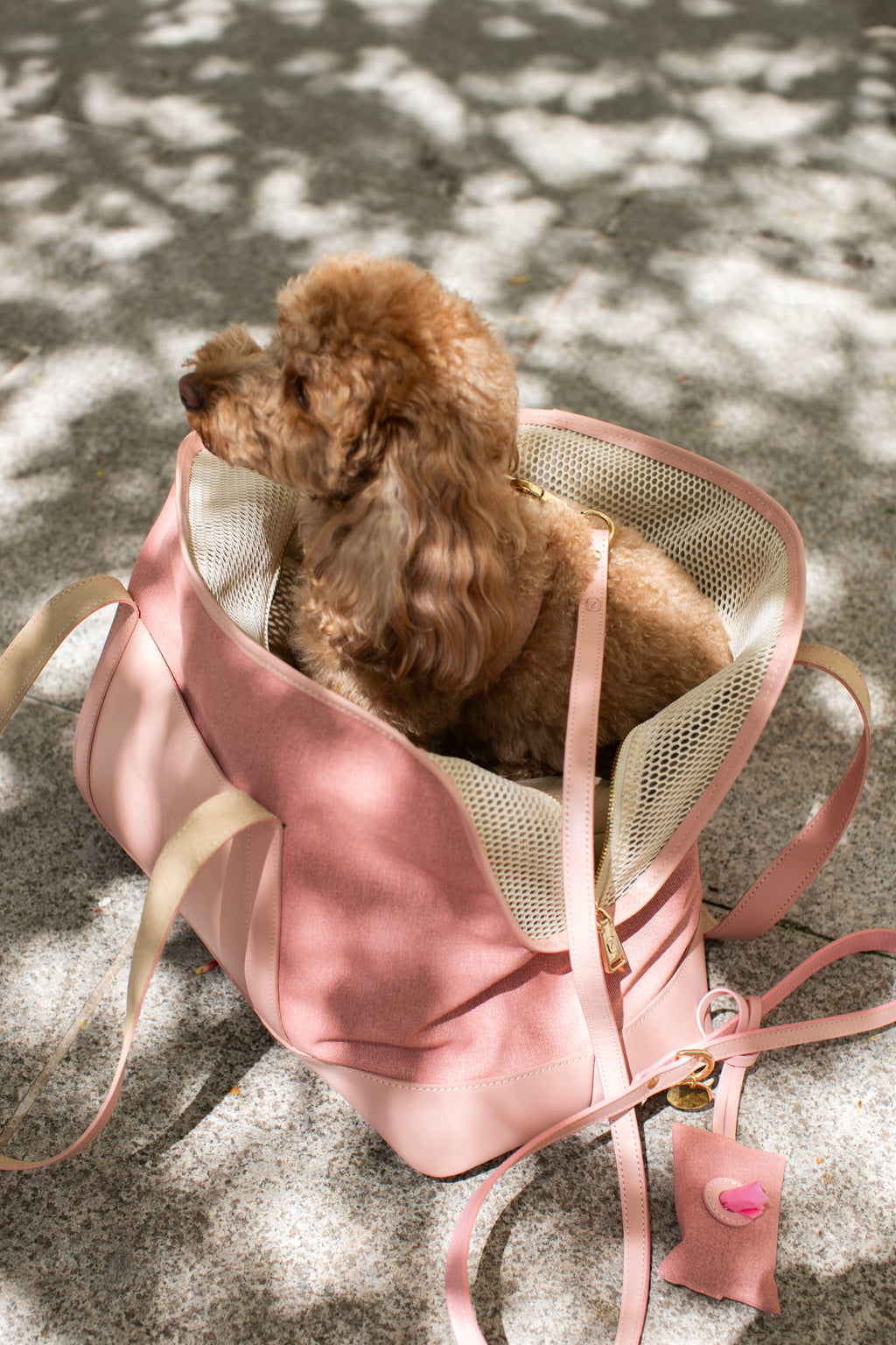 LEATHER LEASH IN POWDER-PINK