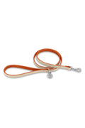 BEIGE-ORANGE LEASH | SILVER