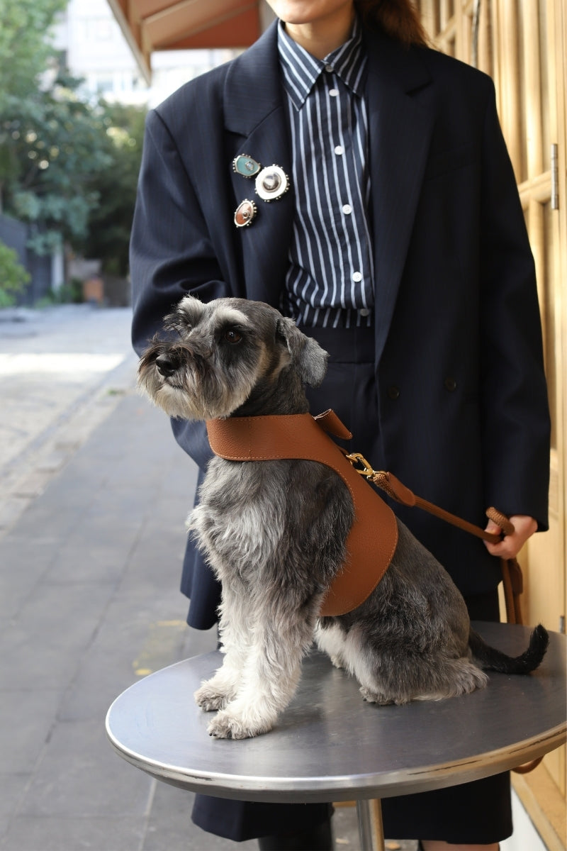 VEST HARNESS IN CARAMEL BROWN | GOLD