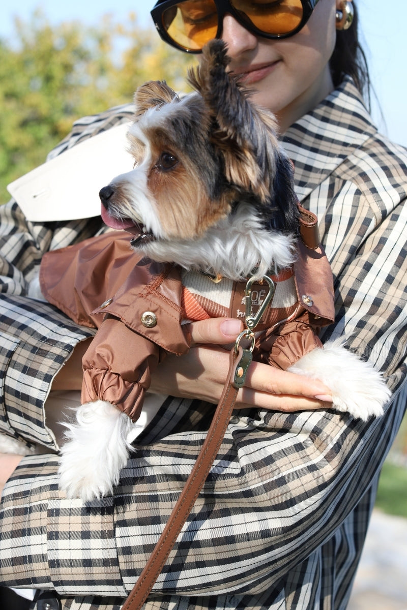 Zoë Pet Atelier × Lolidogs | Raincoat Caramel