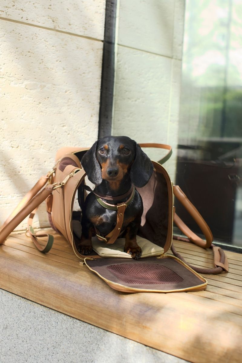 AIR CARRIER IN CARAMEL BROWN