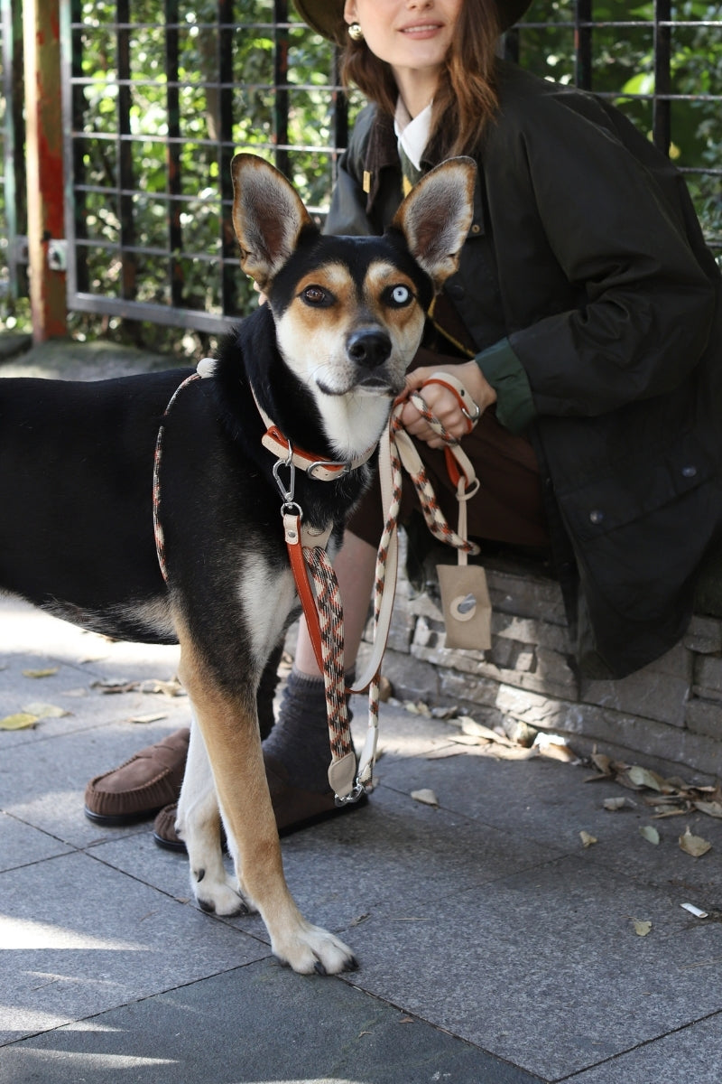 LEATHER COLLAR IN BEIGE-ORANGE | SILVER