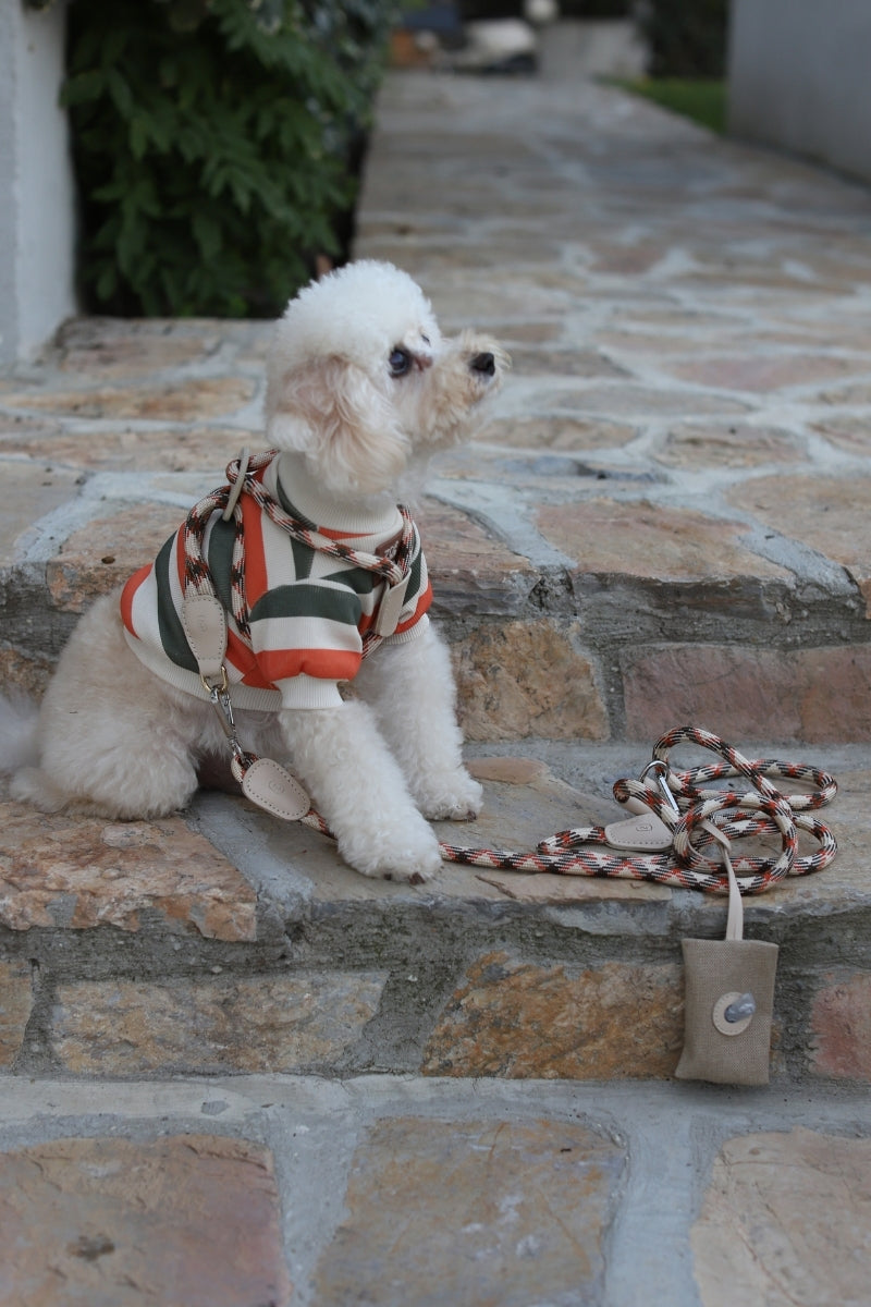Zoë Pet Atelier × Lolidogs | Basic Stripe Army