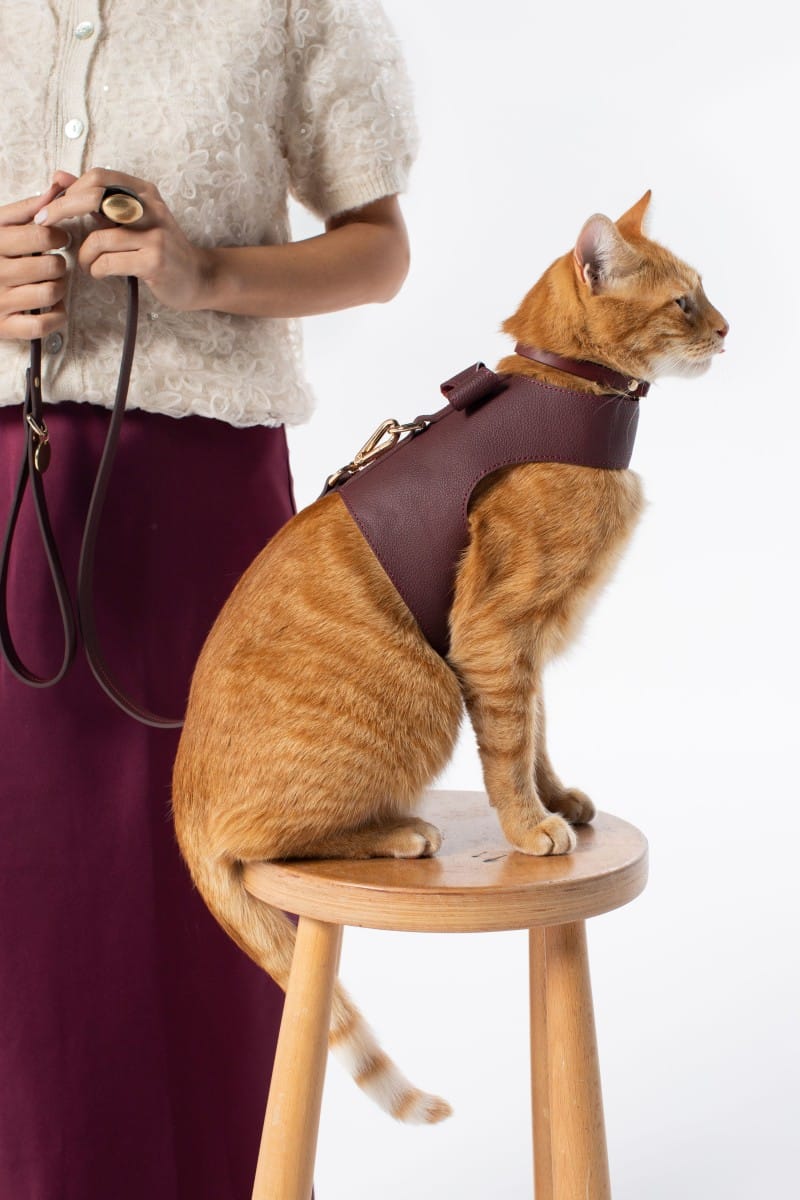 VEST HARNESS IN VINTAGE BURGUNDY